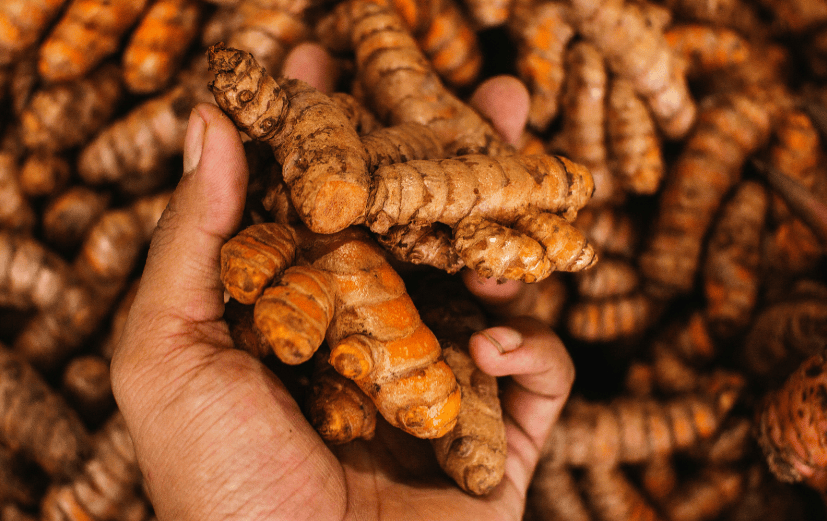 Organic Turmeric Root SoilSaga Naturals