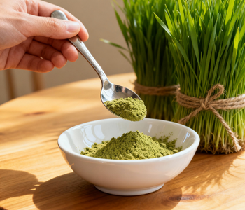 Human hand holding a stainless-steel spoon with organic wheatgrass powder above a white bowl, fresh wheatgrass tied with string in the background