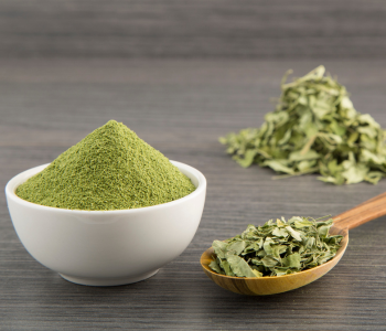 Moringa powder in white bowl, dried leaves in spoon traceable and pure supply
