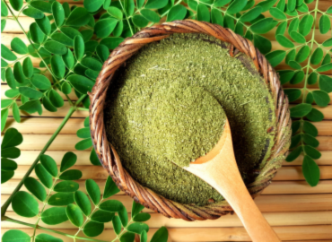 Green moringa powder, wooden bowl, fresh leaves SoilSaga Naturals pure superfood