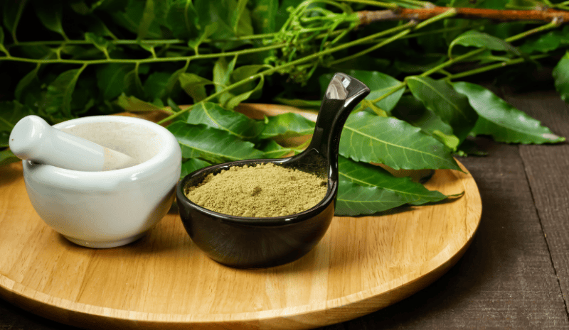 Fine organic neem powder in a black spoon and bowl, fresh neem leaves, and a traditional white grinder