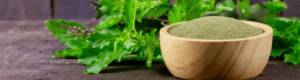 Organic Tulsi Holy Basil Powder SoilSaga Naturals