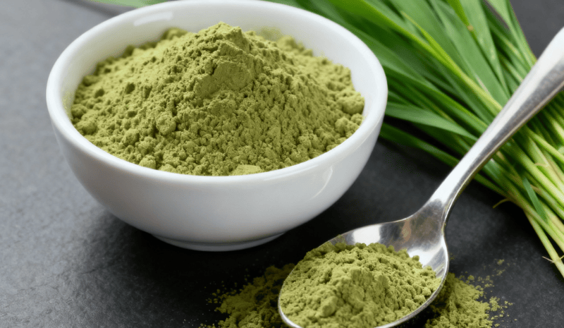 Organic wheatgrass powder in a white bowl with a stainless-steel spoon and fresh grass on a dark background