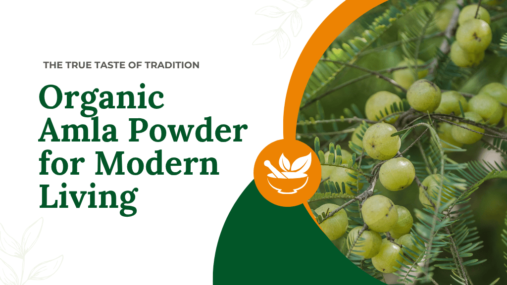 The True Taste of Tradition | Organic Amla Powder for Modern Living