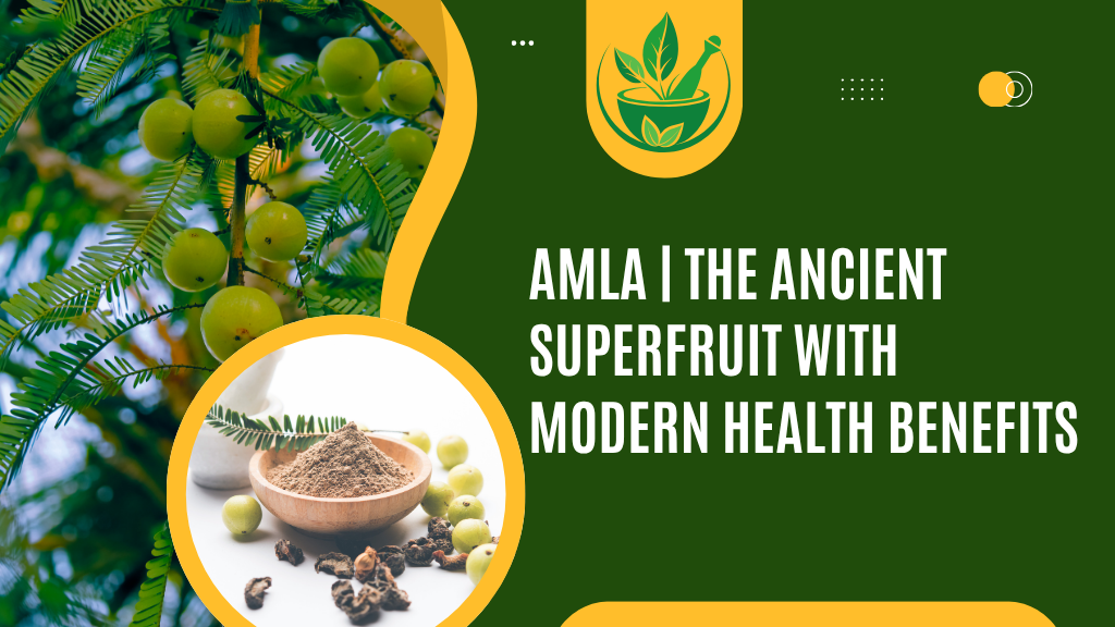 Amla | The Ancient Superfruit with Modern Health Benefits