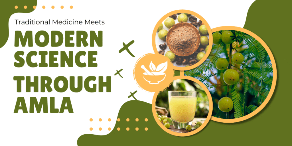 Amla powder in a wooden bowl and fresh gooseberries beside a glass of amla juice.