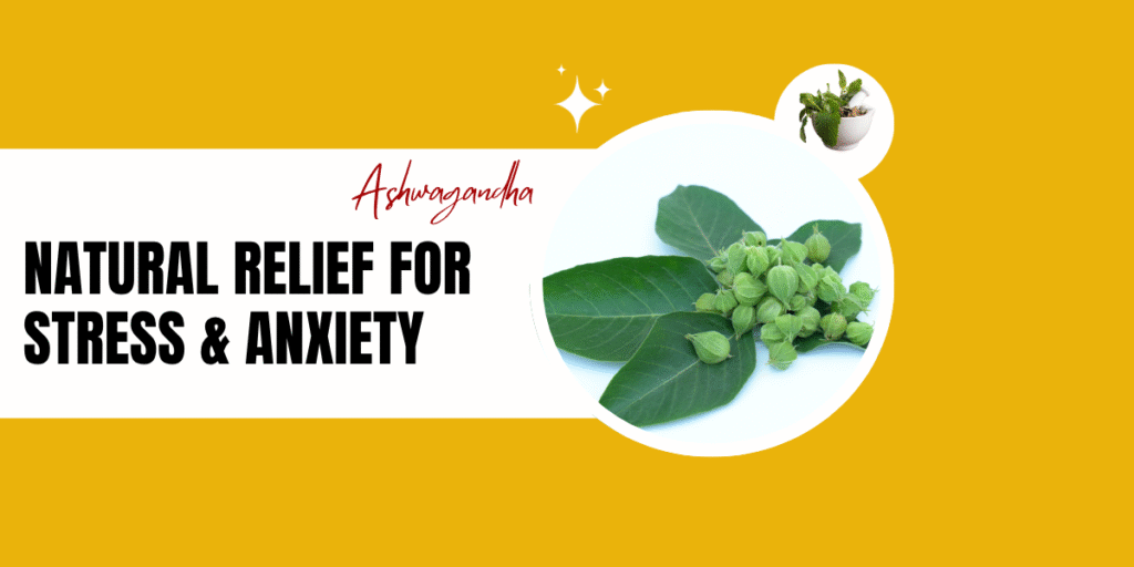 Ashwagandha leaves and green seed pods, promoting natural relief for stress and anxiety.