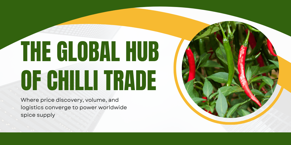 India’s Dominance in the Global Chilli Trade: Precision, Power & Profit