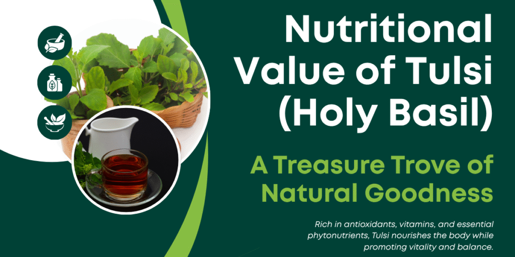 Nutritional Value of Tulsi (Holy Basil): A Treasure Trove of Natural Goodness | SoilSaga Naturals
