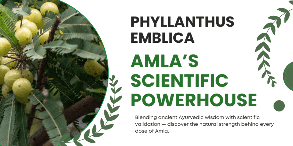 Gooseberry fruits and amla juice glass with Ayurvedic herbal ingredients display.