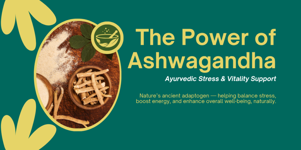 Ashwagandha powder and root sticks in a bowl, Ayurvedic stress support concept.