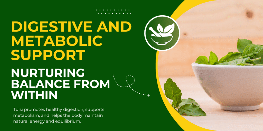 Fresh green tulsi leaves in a white bowl represent digestive and metabolic support.