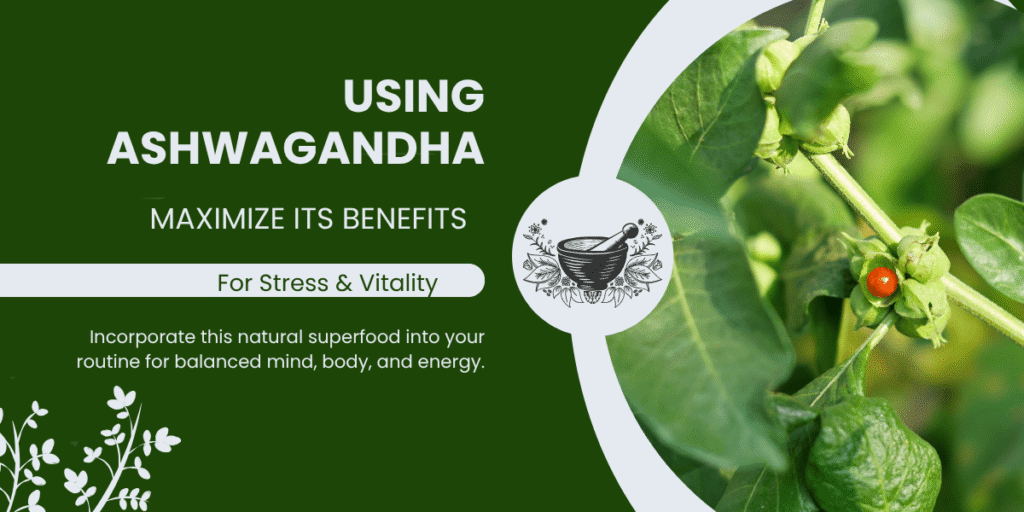 Close-up ashwagandha berries and leaves, highlighting adaptogen benefits for stress and vitality.