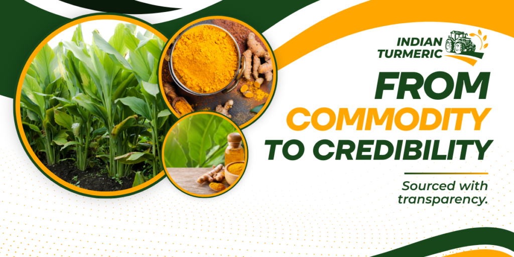 Indian Turmeric Powder: Why Global Buyers Are Turning Back to India
