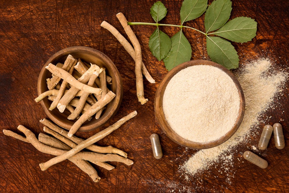 SoilSaga Organic Ashwagandha Root Powder Wholesale