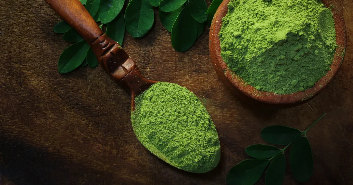 SoilSaga Organic Moringa Leaf Powder Wholesale