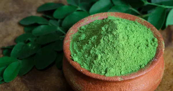 Unlocking the Power of Moringa