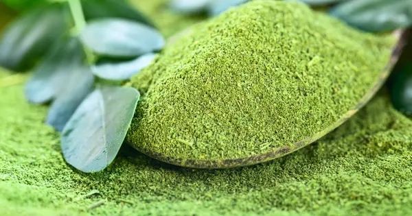 Why Moringa Leaves Lose Nutrition