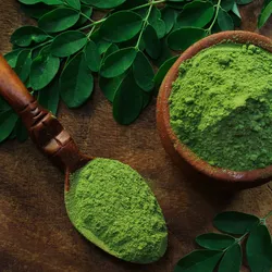 Moringa Powder