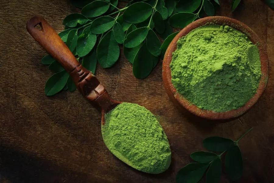 Organic Farming at SoilSaga Naturals India
