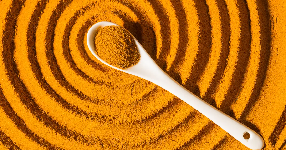 SoilSaga Premium Organic Turmeric Powder Wholesale